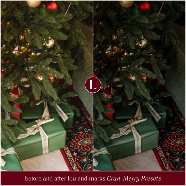 Cran-Merry Preset Collection By Primosy - Image 11