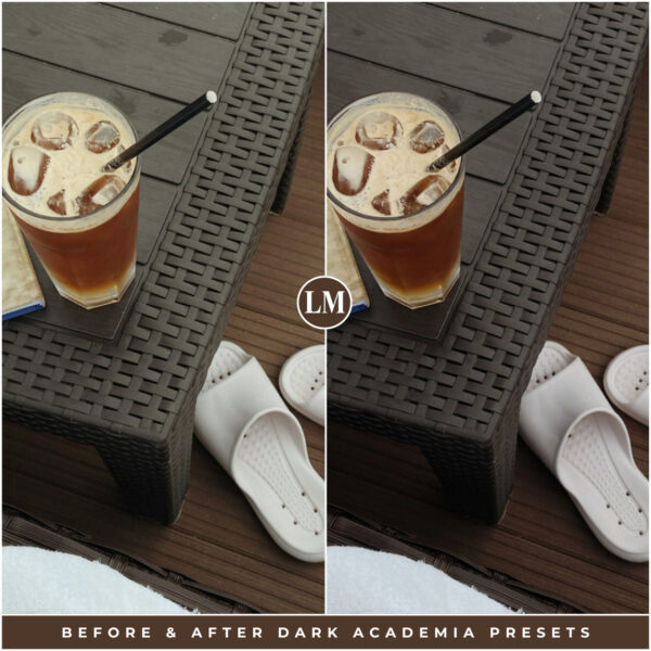 Dark Academia Preset Collection By Primosy - Image 18