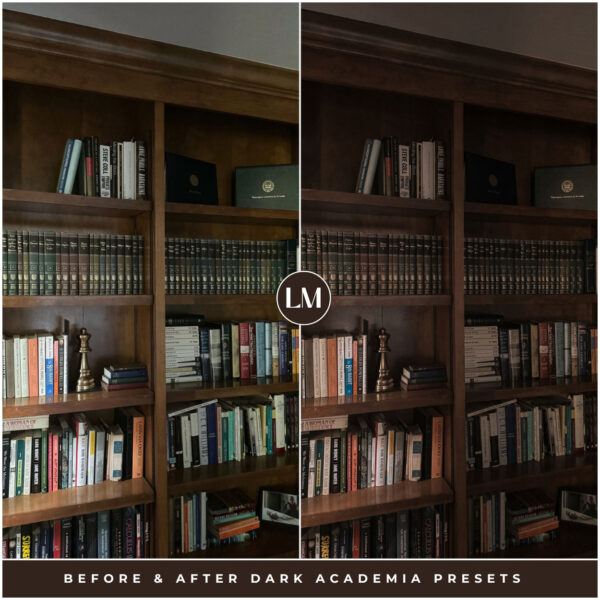 Dark Academia Preset Collection By Primosy - Image 2