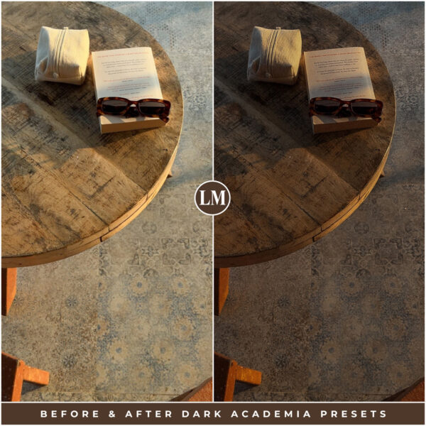 Dark Academia Preset Collection By Primosy - Image 16