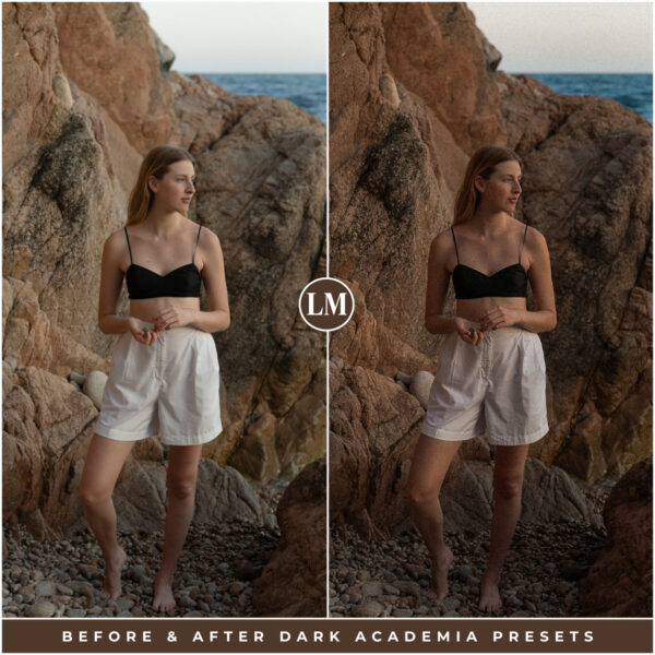 Dark Academia Preset Collection By Primosy - Image 3