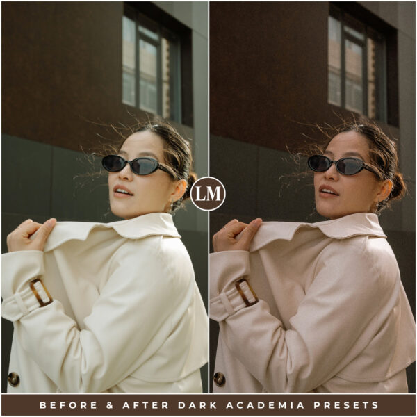 Dark Academia Preset Collection By Primosy - Image 11