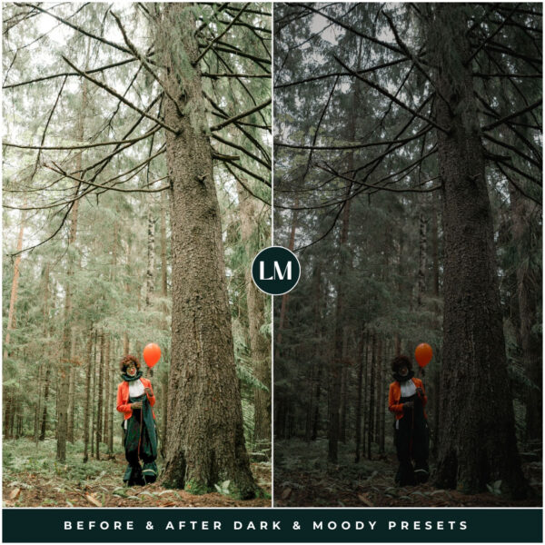 Dark & Moody Preset Collection By Primosy - Image 20