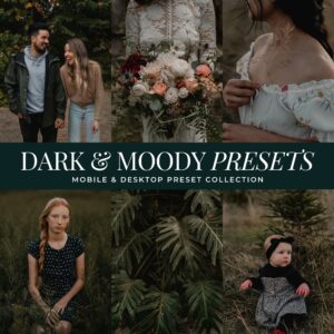 Dark & Moody Preset Collection By Primosy