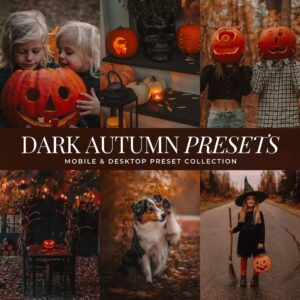 Dark Autumn Preset Collection By Primosy