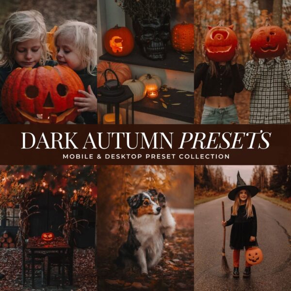 Dark Autumn Preset Collection By Primosy