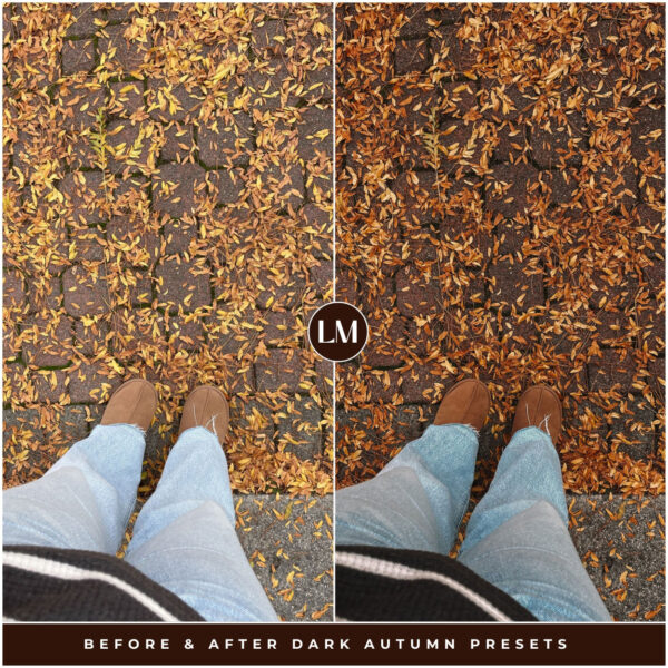 Dark Autumn Preset Collection By Primosy - Image 13