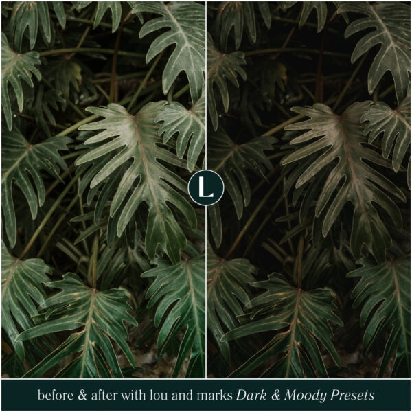 Dark & Moody Preset Collection By Primosy - Image 11