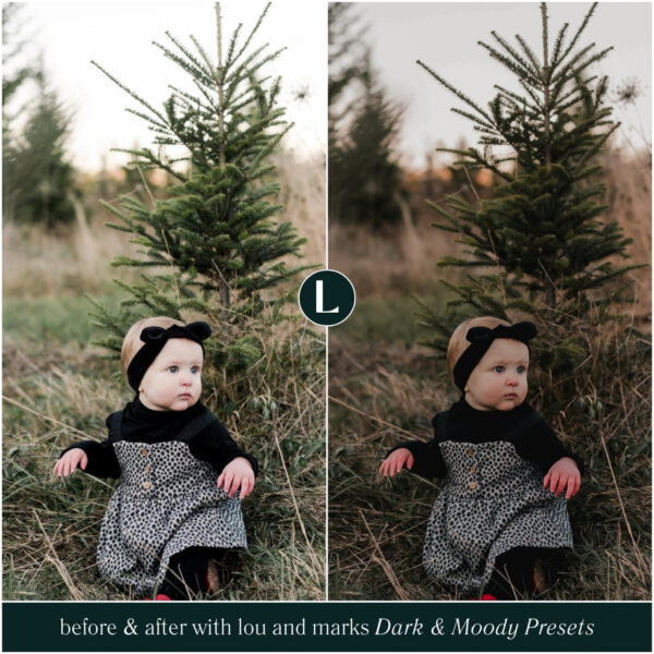 Dark & Moody Preset Collection By Primosy - Image 12