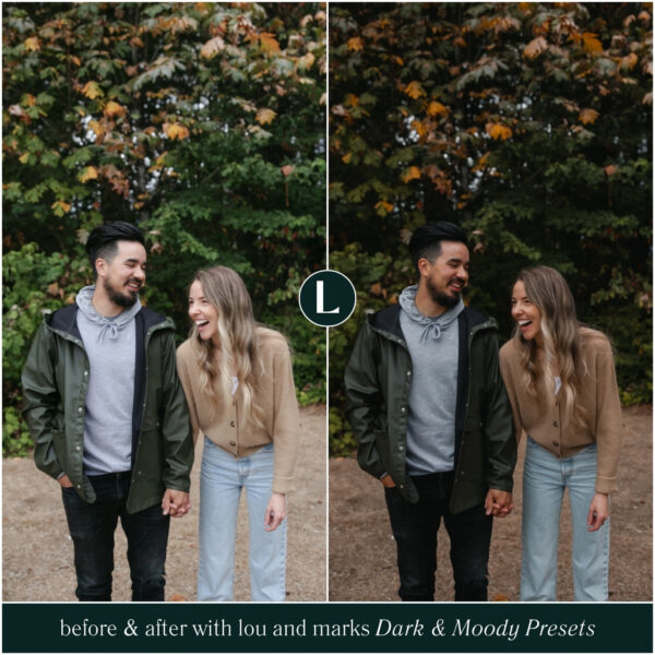 Dark & Moody Preset Collection By Primosy - Image 2