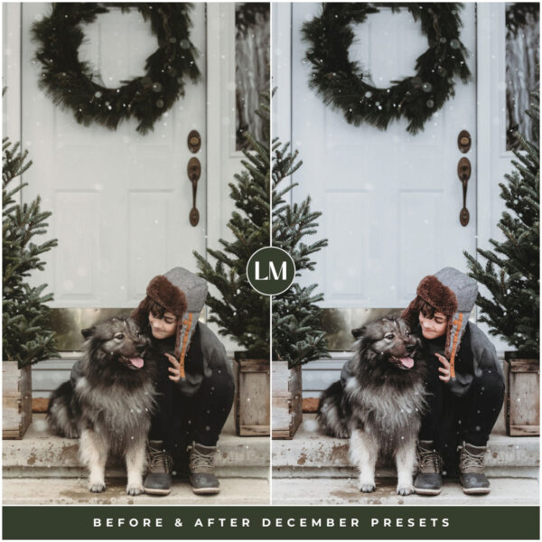 December Preset Collection By Primosy - Image 7