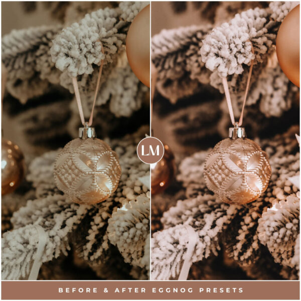 Eggnog Preset Collection By Primosy - Image 6