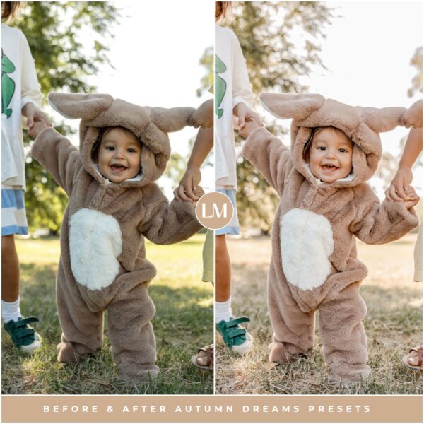 Autumn Dreams Preset Collection By Primosy - Image 4