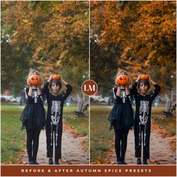 Autumn Spice Preset Collection By Primosy - Image 4