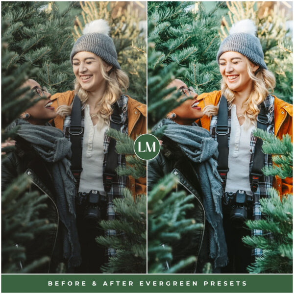 Evergreen Preset Collection By Primosy - Image 3