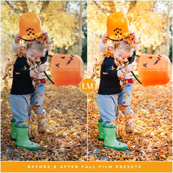 Fall Film Preset Collection By Primosy - Image 9