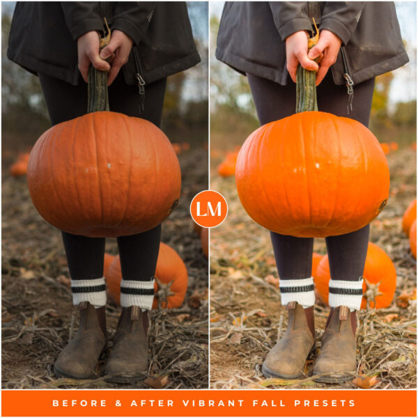 Vibrant Fall Preset Collection By Primosy - Image 13
