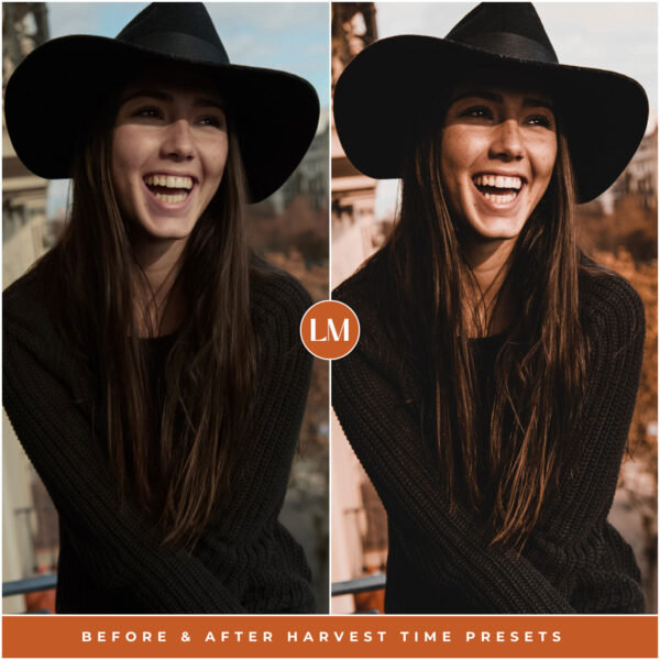 Harvest Time Preset Collection By Primosy - Image 10