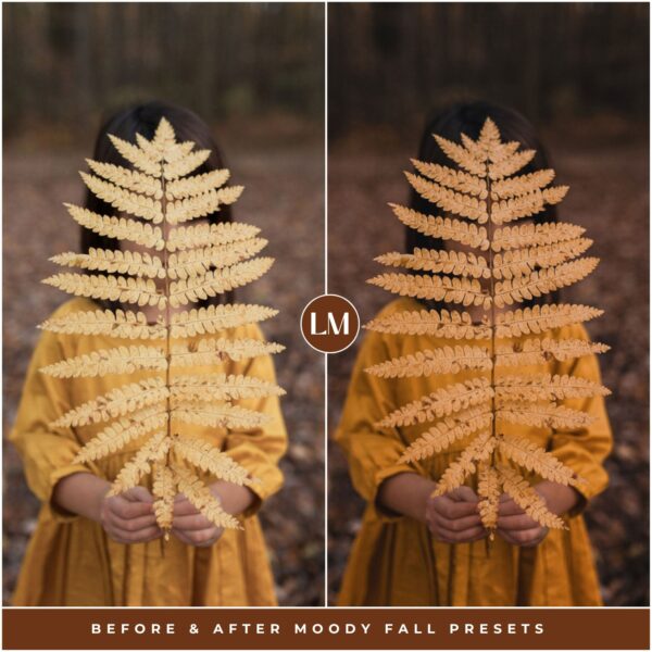 Moody Fall Preset Collection By Primosy - Image 17