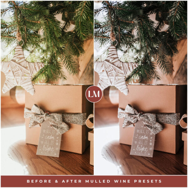 Mulled Wine Preset Collection By Primosy - Image 15