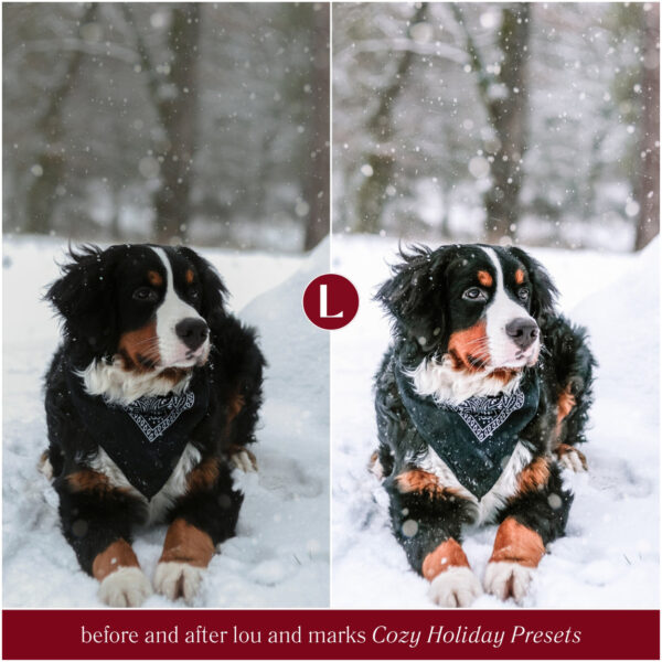 Cozy Holiday Christmas Preset Collection By Primosy - Image 10