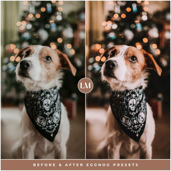 Eggnog Preset Collection By Primosy - Image 3