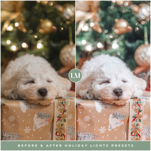 Holiday Lights Preset Collection By Primosy - Image 9