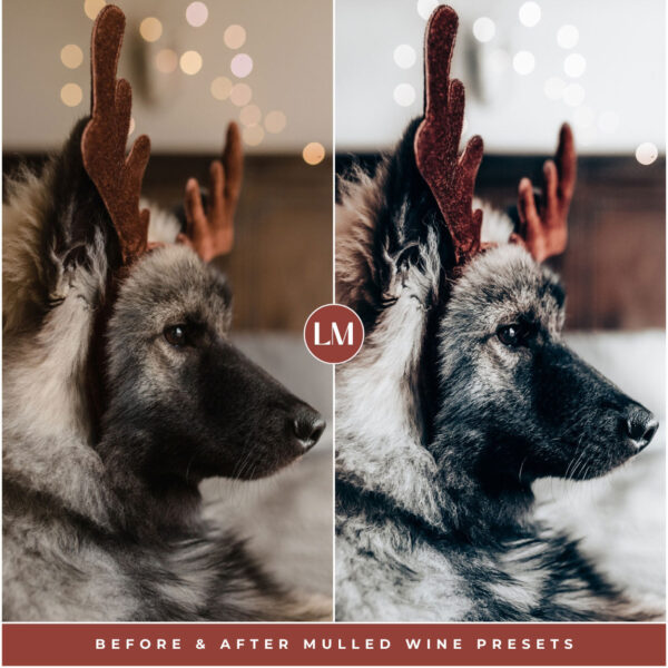 Mulled Wine Preset Collection By Primosy - Image 3