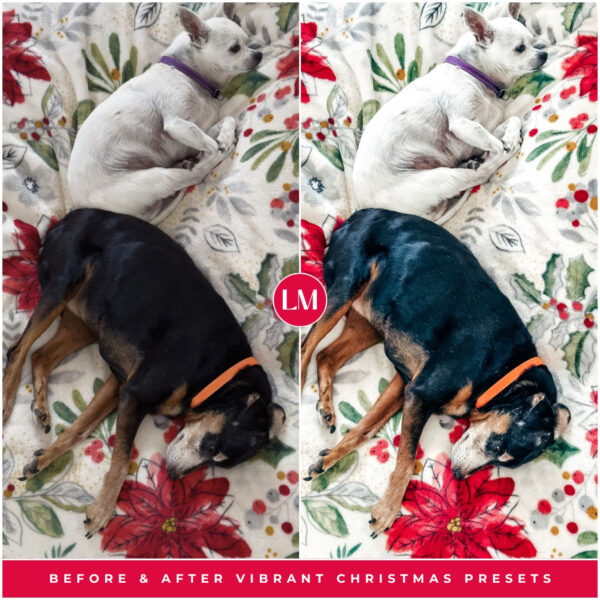 Vibrant Christmas Preset Collection By Primosy - Image 15