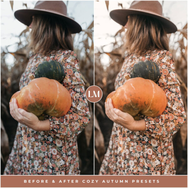 Cozy Autumn Preset Collection By Primosy - Image 6