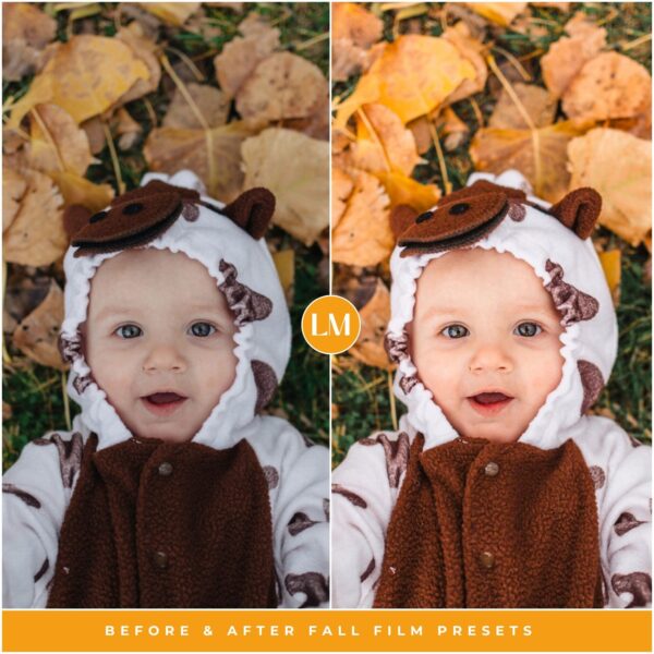 Fall Film Preset Collection By Primosy - Image 12