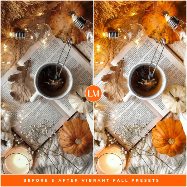 Vibrant Fall Preset Collection By Primosy - Image 10