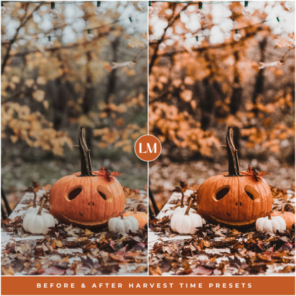 Harvest Time Preset Collection By Primosy - Image 4
