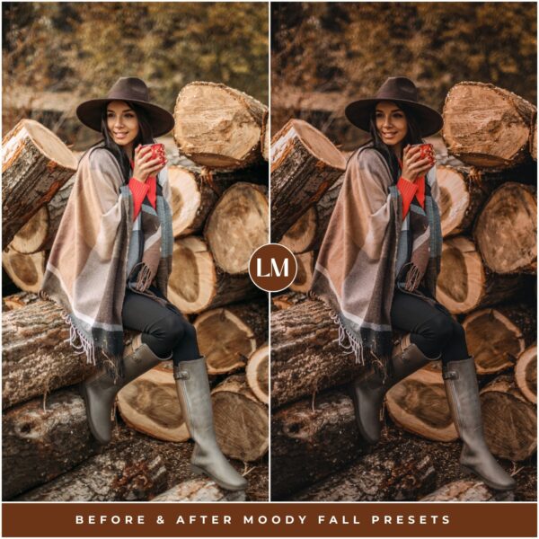 Moody Fall Preset Collection By Primosy - Image 15