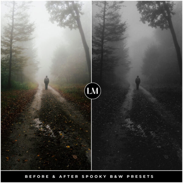 Spooky Black & White Preset Collection By Primosy - Image 12