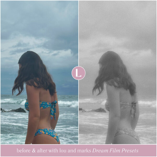 Dream Film Preset Collection By Primosy - Image 7