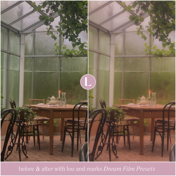 Dream Film Preset Collection By Primosy - Image 11