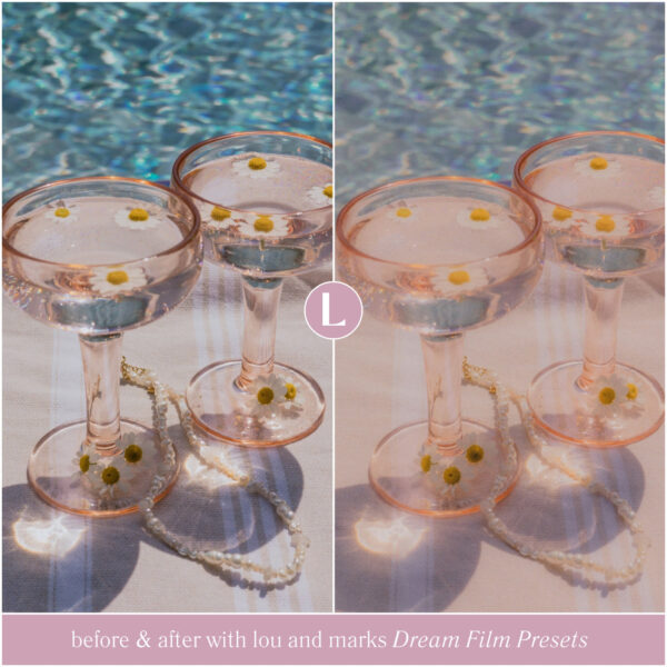 Dream Film Preset Collection By Primosy - Image 6