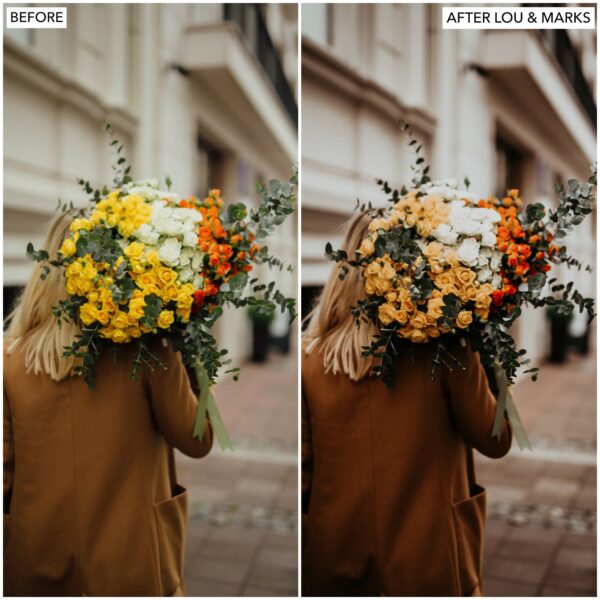 Earthy Tones Preset Collection By Primosy - Image 6