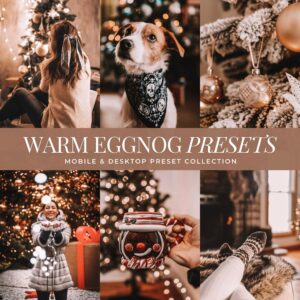 Eggnog Preset Collection By Primosy