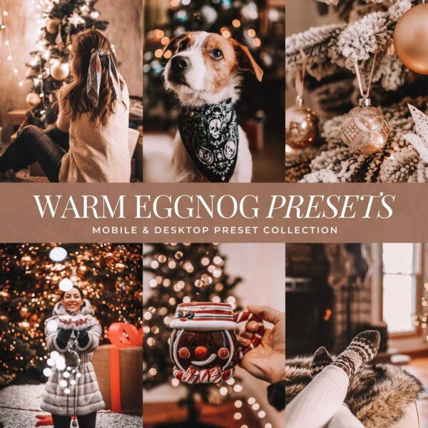 Eggnog Preset Collection By Primosy