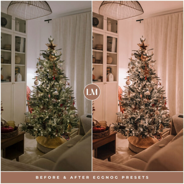 Eggnog Preset Collection By Primosy - Image 9