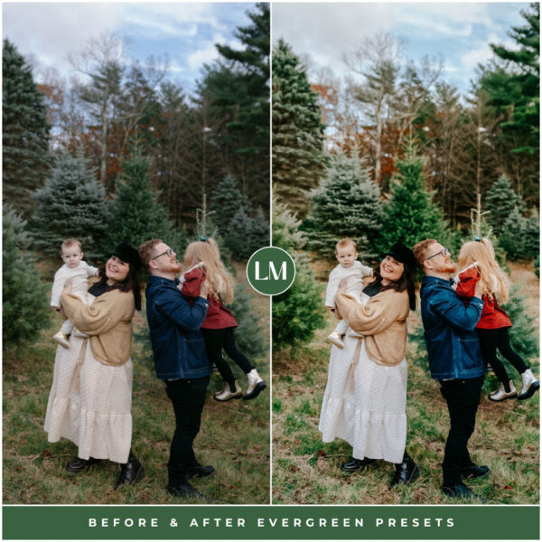 Evergreen Preset Collection By Primosy - Image 2