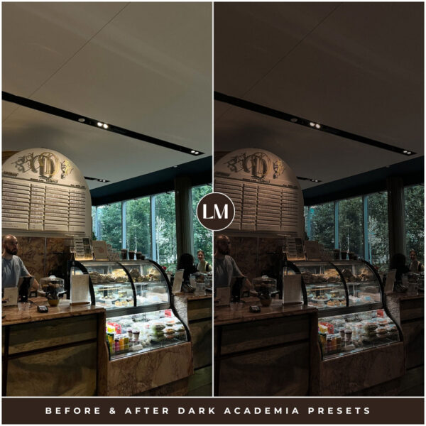Dark Academia Preset Collection By Primosy - Image 7