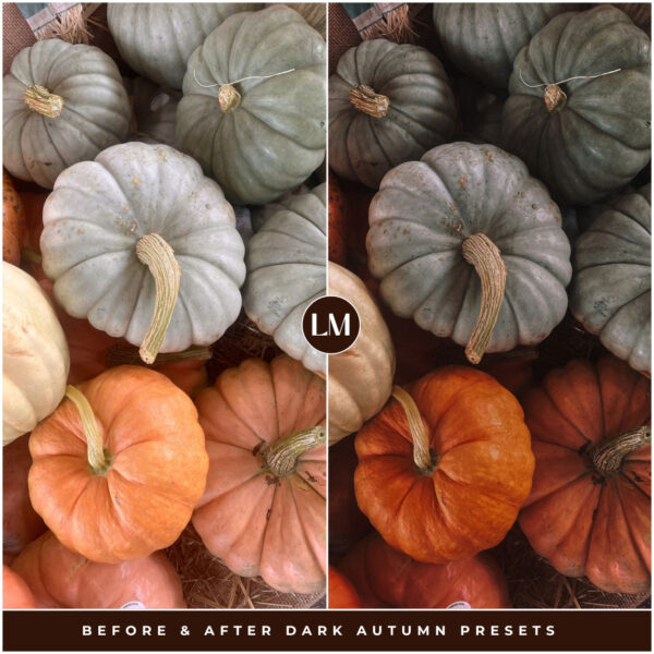 Dark Autumn Preset Collection By Primosy - Image 12