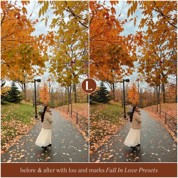 Fall In Love Preset Collection By Primosy - Image 7