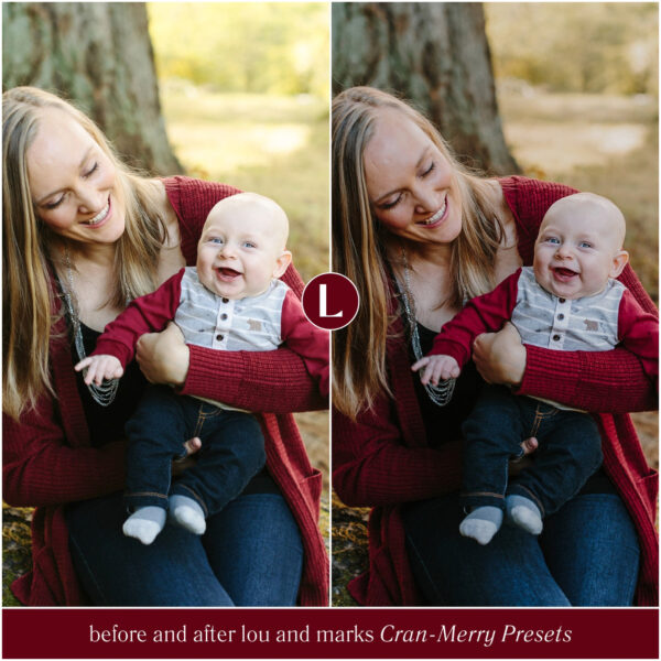 Cran-Merry Preset Collection By Primosy - Image 10
