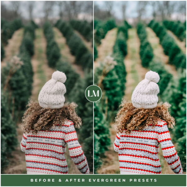 Evergreen Preset Collection By Primosy - Image 13