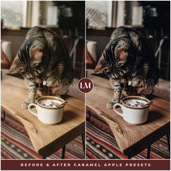 Caramel Apple Preset Collection By Primosy - Image 10