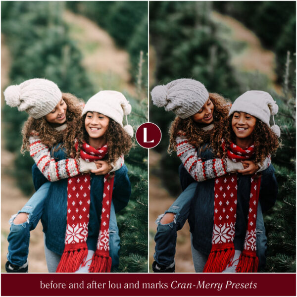 Cran-Merry Preset Collection By Primosy - Image 15